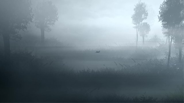 Moving Through the Foggy Swamps 4K Loop features a camera view moving through marsh land with birds flying across the scene in a loop