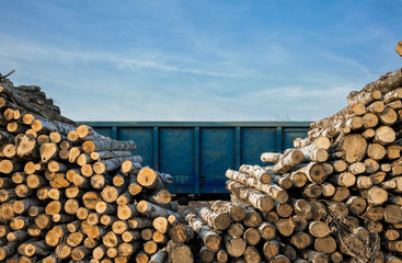 stack of wood trunk at transportation railway blue wagon cargo train station composition