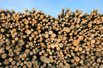 stack of wood piles trunks at transportation cargo train station composition