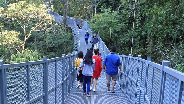 Tree top skywalk in Queen Sirikit botanic barden ,Chiang Mai Thailand