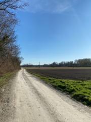 Fototapeta na wymiar track across the fields, dirt road, landscape with road, trees near dirt road, trees next to dirt road, somewhere in nowhere, fied, acre, agriculture, farming, farm, agriculturale