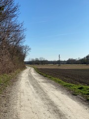Fototapeta premium track across the fields, dirt road, landscape with road, trees near dirt road, trees next to dirt road, somewhere in nowhere, fied, acre, agriculture, farming, farm, agriculturale