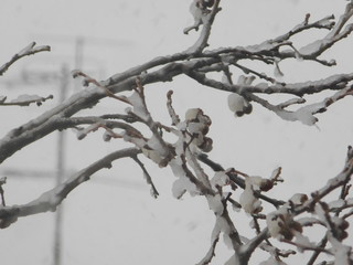 Photos of all the most interesting, beautiful and informative