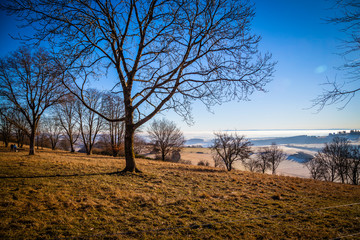 Winter in the Eifel forests,Germany