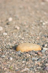 Rocks