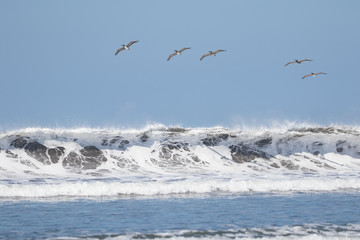 Bejuco Beach costa rica