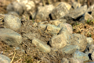 Rocks