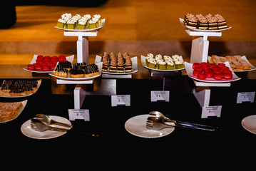Elegant Dessert Assortment , individual cakes