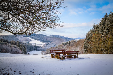 Winter in the Eifel forests,Germany