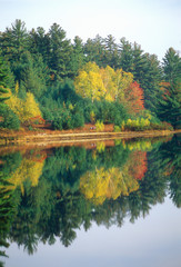 Autumn colors in Purity Spring, NH on Scenic Route 153