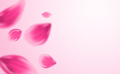 Flowers petals. spring background. flying petals on soft pink background. light and shadow. Vector.