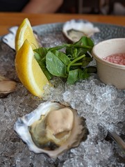 Oysters fresh seafood