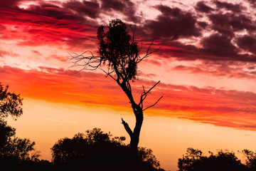 Obraz na płótnie Canvas Sunset at Mungo National Park, Australia