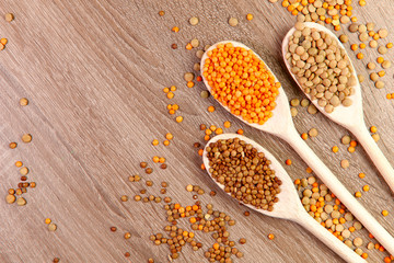Flat lay. Three wooden spoons with different varieties of lentils on the table. Wooden spoons close up on the right of the frame. Top view on lentil grains. Close-up, horizontal, top view, free space.