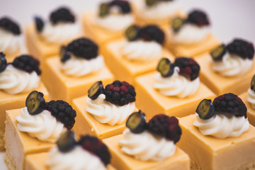 Beautiful portrait of small square blackberry chess cake