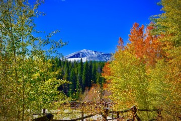 autumn landscape with mountains