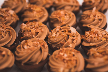 Obraz na płótnie Canvas Delicious Chocolate square baked cupcakes close up