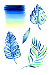 Fototapeta na wymiar Exotic, tropical leaf set and colored background. Summer mood in a combination of colors, blue, turquoise, yellow and green. Illustration drawn with a marker isolated on a white background.