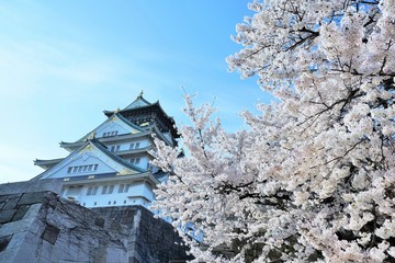 Naklejka premium 大阪城公園