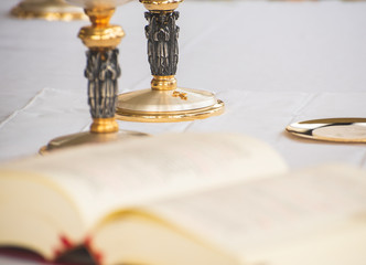 Mass is the central act of worship of the Roman Catholic Church, which culminates in celebration of...