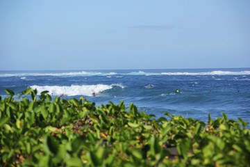 surf view of the beach