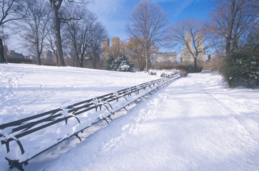 Park benches with snow in Central Park, Manhattan, New York City, NY after winter snowstorm