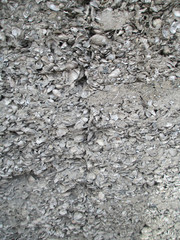 shell and sand with cement wall coquina