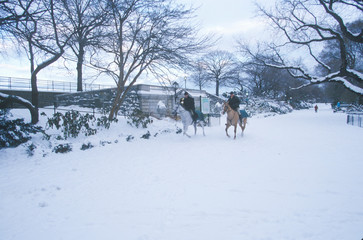 Horseback ride through fresh snow in Central Park, Manhattan, New York City, NY