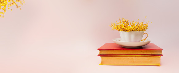 a beautiful spring minimalistic still life banner, a bouquet of Mimosa in a white porcelain Cup on a soft pink background with two old books in a hard red cover with vintage yellow pages