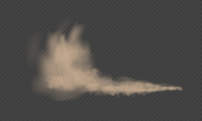 Dust cloud, sand storm, powder spray on transparent background. Desert wind with cloud of dust and sand. Realistic vector illustration.