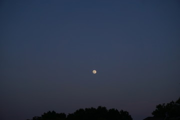 Night Picture of the Moon and Sky no stars