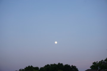 Night Picture of the Moon and Sky no stars