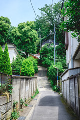 Sunny alley and trees at streets of Kamakura, Japan