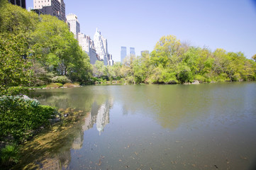 Lake in Central Park in Spring with New York City skyline in background, New York