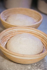 bread proofing in baskets