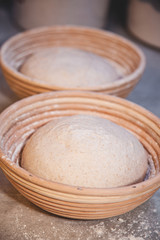 Bread in Baskets proofing
