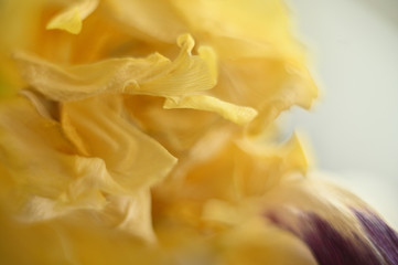 абстракция