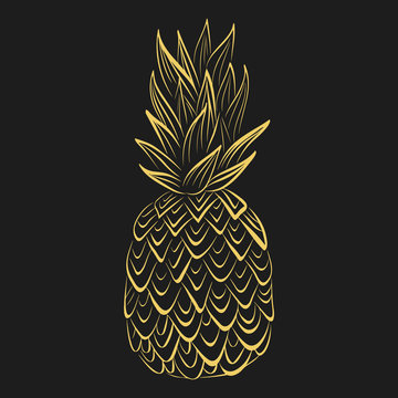 Vector tropical food illustration. Gold pineapple on black background. Summer fruit