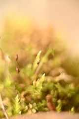 абстракция