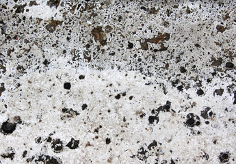 stone processed carved for the decoration