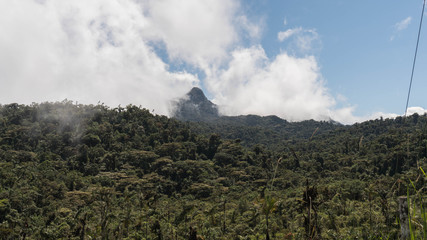 paisaje selva