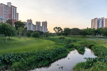 high dynamic range landscape of neighborhood park