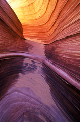 Close up of sandstone stripes, 'The Wave' on Kenab Coyote Butte, BLM, Slot Canyon, UT