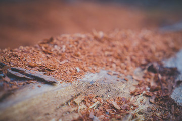 Sawdust, tree, cut