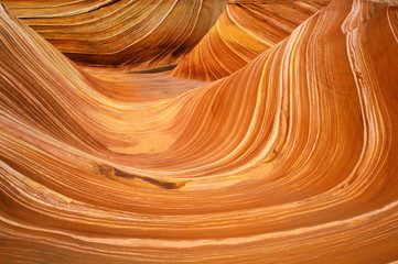 Obraz premium Close up of sandstone stripes, 'The Wave' on Kenab Coyote Butte, BLM, Slot Canyon, UT