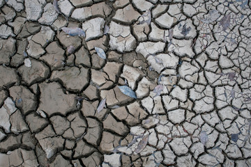 Drought background of broken soil
