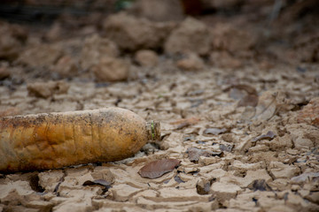 Plastic waste that remains after the water has dried
