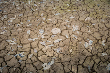 Drought background of broken soil