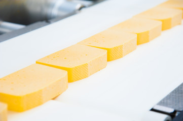 Industrial production of hard cheeses