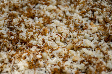 Background image of red ant nest And many red ants